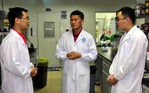 文山三七粉價(jià)格