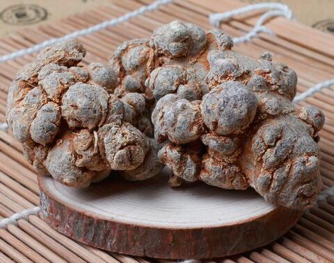 各種三七圖片植物圖片